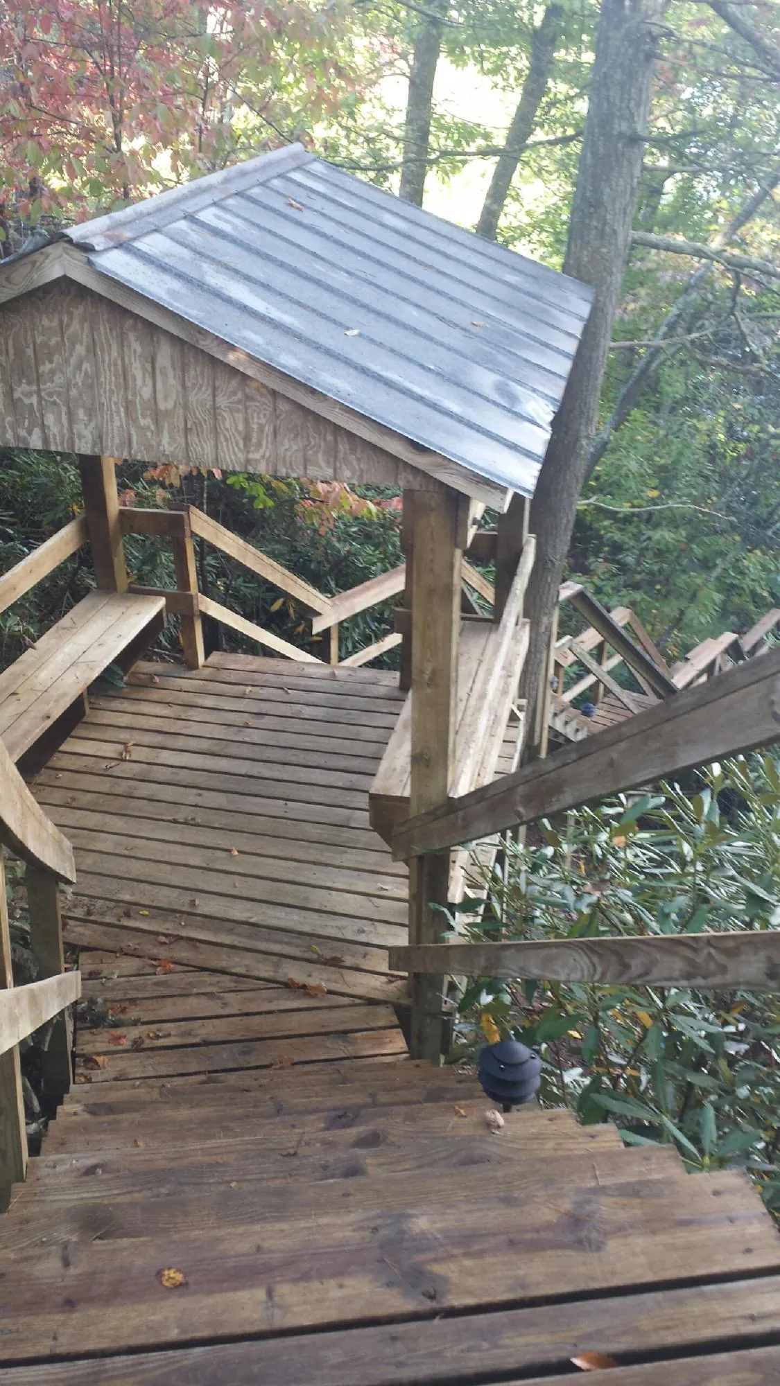 Metal roofed shelter over wooden steps on a wooded walkway — Skylight Repair & Installation work by our crew in Days Creek