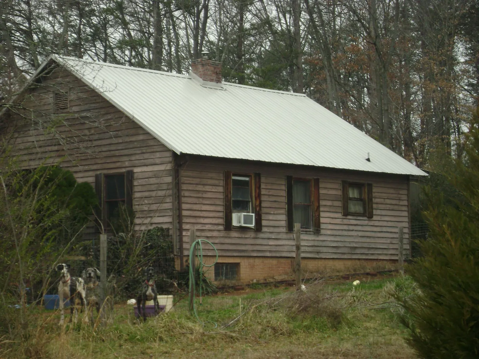 White metal roof on an old wood sided farmhouse, from a Metal Roof Installation job in Days Creek